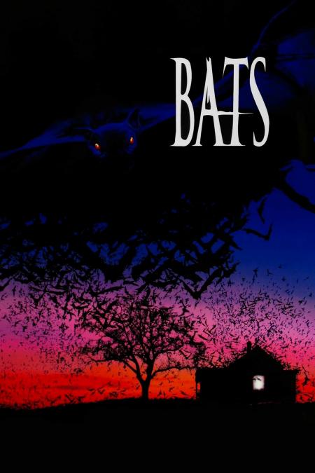 Bats 1999