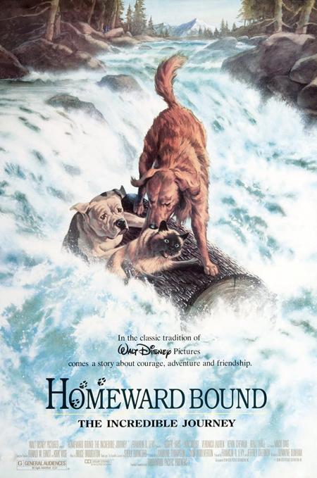 Homeward Bound 1: The Incredible Journey 1993