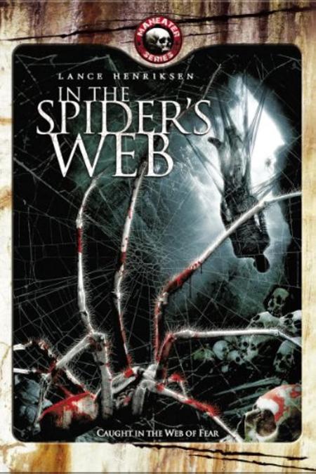 In The Spiders Web 2007